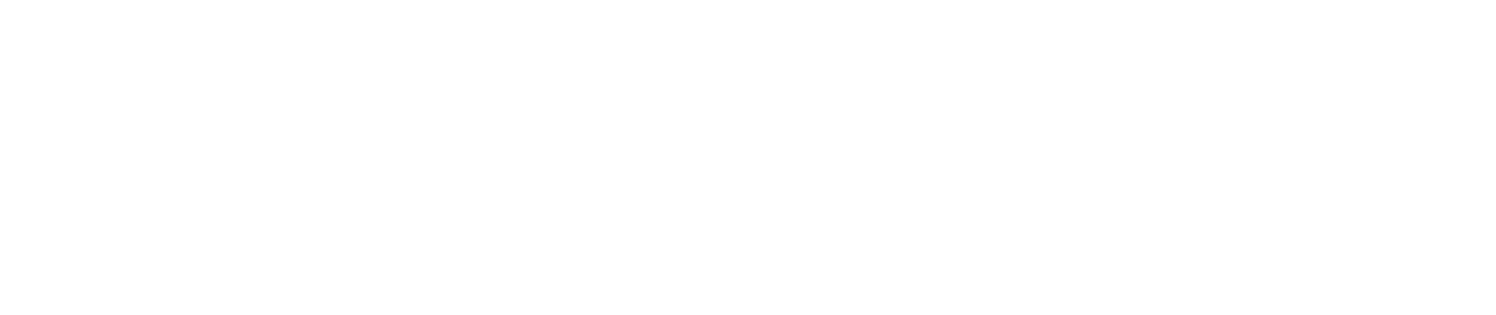 Verityleads.com mobile logo white
